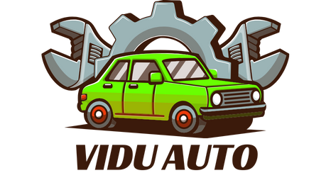 Vidu Auto